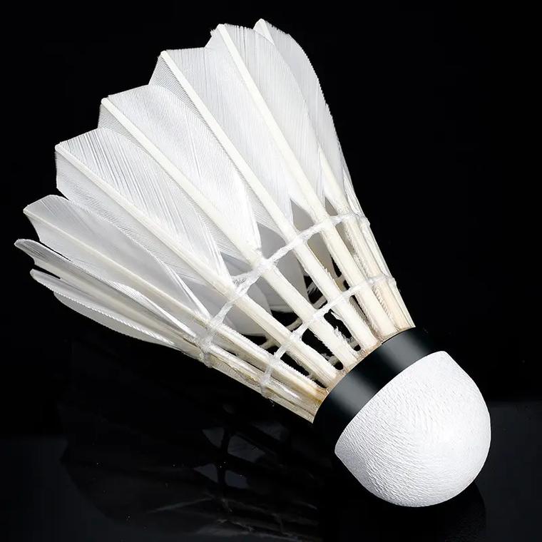 体育十九届六中全会精神引起山东体育系统强烈反响之山东体育学院教授 袁宏