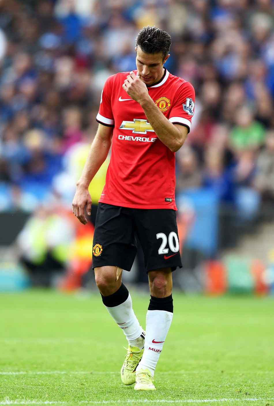 直接对话 直接对话